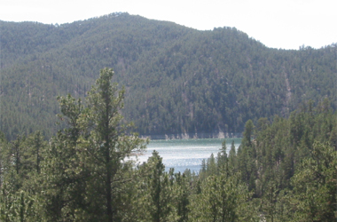 Black Hills