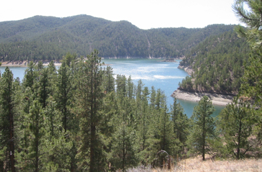 Black Hills