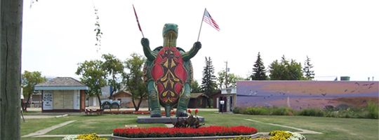 Turtle Mountains