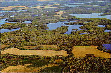 Turtle Mountains