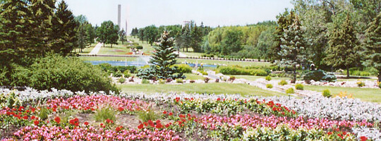 Flowers at International Peace Garden